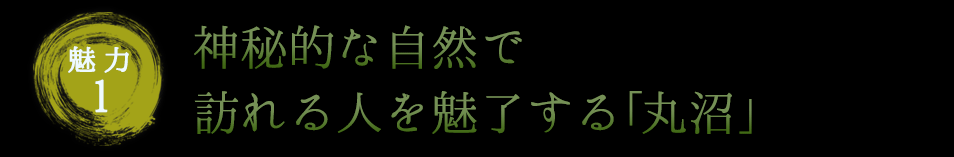 魅力1 神秘的な自然で訪れる人を魅了する「丸沼」